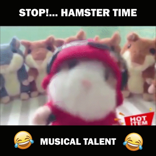 Best Christmas gifts for kids! Talking Hamster